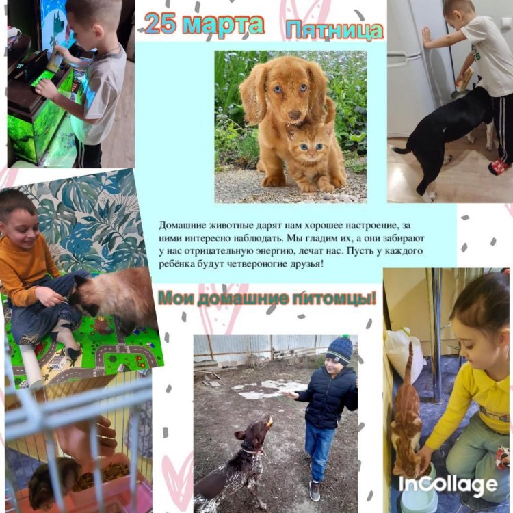 WhatsApp Image 2022-03-28 at 11.26.27 (3)